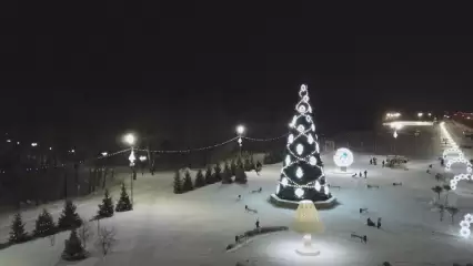 Нижнекамцев приглашают на открытие ёлочного городка на «Солнечной поляне» - НТР 24