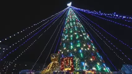 В Нижнекамске откроется новогодняя ёлка в парке Нефтехимиков и ледяной городок «Айс-сити» - НТР 24