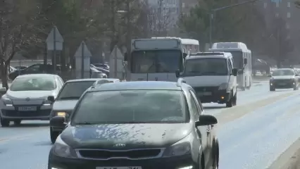 В Нижнекамске из-за обрезки деревьев временно перекроют участок дороги