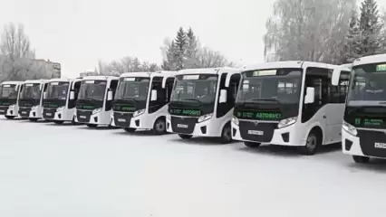 В Нижнекамске будет работать 9 автобусных маршрутов, останется один перевозчик