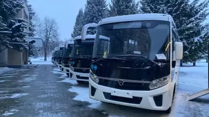Рамиль Муллин рассказал, как скоро в Нижнекамске запустят на линию новые автобусы - НТР 24