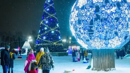 Где и когда в Нижнекамске можно покататься на пони и лошадях - НТР 24