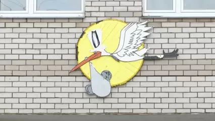 В Нижнекамске на свет появился 81 малыш - НТР 24