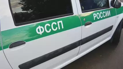 В Татарстане состоится онлайн-прием ФССП по вопросами алиментов - НТР 24