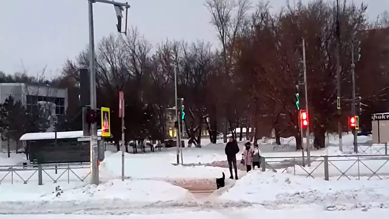 Жительница Нижнекамска объяснила, почему пешеходы игнорируют новый светофор у автовокзала
