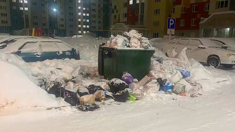 Переполненный контейнер с разбросанным вокруг мусором на Табеева