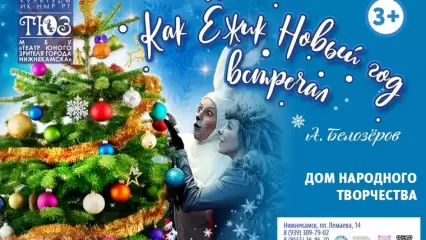 В Нижнекамске ТЮЗ покажет в новогодние каникулы два спектакля - НТР 24