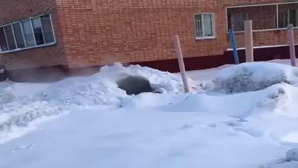 Жительница Нижнекамска показала образовавшийся в городе «вулкан» - НТР 24
