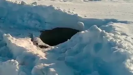 Жительница Нижнекамска показала открытый колодец в городе - НТР 24