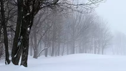Татарстанцев ожидает снегопад и морозы до -13 градусов