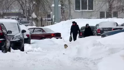 Жители Нижнекамска недовольны колеёй на дорогах, коммунальщики работают в полную силу - НТР 24