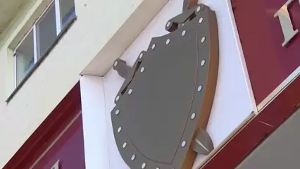 Расследование убийства щенков в Челнах прокуратура Татарстана взяла на контроль - НТР 24