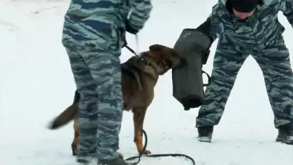 Нижнекамские студенты побывали в гостях у полицейских - НТР 24