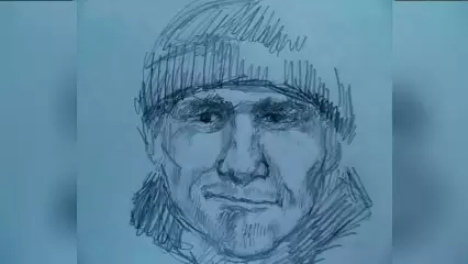 Жителям Нижнекамска обещают награду за помощь в поимке разбойника - НТР 24