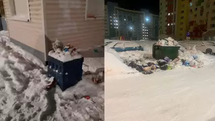 Нижнекамцы жалуются на переполненные мусорные контейнеры - НТР 24