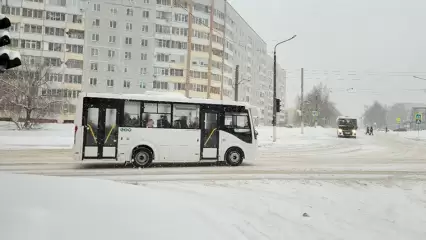 Нижнекамцам объяснили, почему новых автобусов нет в приложении «Яндекс.Карты» - НТР 24