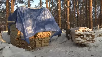 Хозяин участка в Корабельной роще под Нижнекамском рассказал, что будет строить - НТР 24