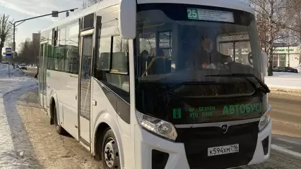 В Нижнекамске на линию вывели ещё несколько автобусов - НТР 24