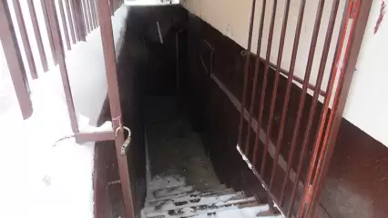 Нижнекамцы заметили странности в найденном в подвале трупе - НТР 24