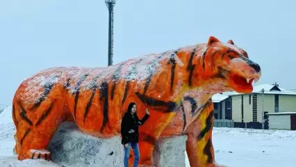 В Татарстане появилась девятиметровая фигура тигра