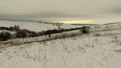 В полиции Нижнекамска рассказали, где обнаружили пропавшего осенью Андрея Пронина - НТР 24