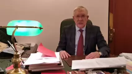 Депутат ГД по Нижнекамскому округу предложил поправки в закон о бездомных животных - НТР 24