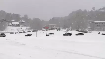 Нижнекамцев предупредили о пробке на переправе через Каму - НТР 24