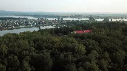 В Татарстане за 3 года на охрану природы потрачено более 9 млрд рублей - НТР 24