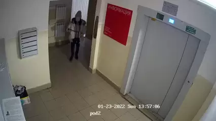 «Ногти на халяву»: жительница Нижнекамска не платит за услуги бьюти-мастеров и «кидает» таксистов - НТР 24