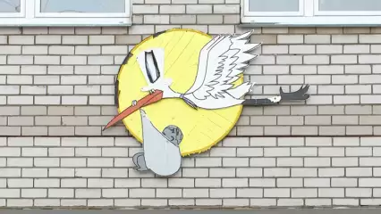 В новогодние праздники в Нижнекамске родились 75 малышей - НТР 24