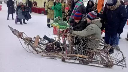 В Нижнекамске прошли соревнования на креативных санях - НТР 24
