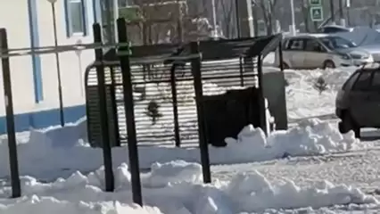 Жильцы двух домов в Нижнекамске против строительства нового кафе во дворе - НТР 24