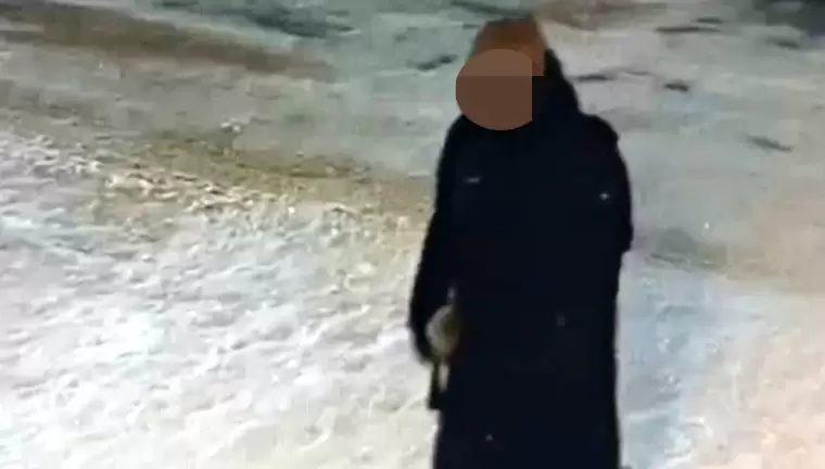 Полиция Нижнекамска разыскивает девушку с видеозаписи, которая может помочь следствию