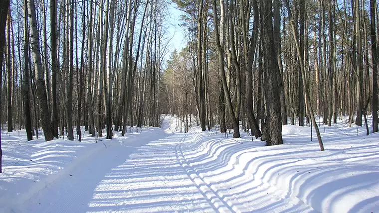 Новая неделя у жителей Татарстана начнется со снежной каши на дорогах