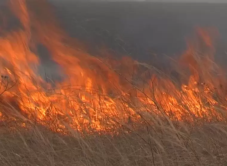С 15 апреля в Татарстане начинается пожароопасный сезон