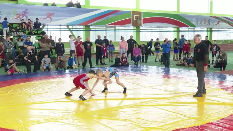 Более 300 спортсменов приняли участие во всероссийском турнире по вольной борьбе в Нижнекамске