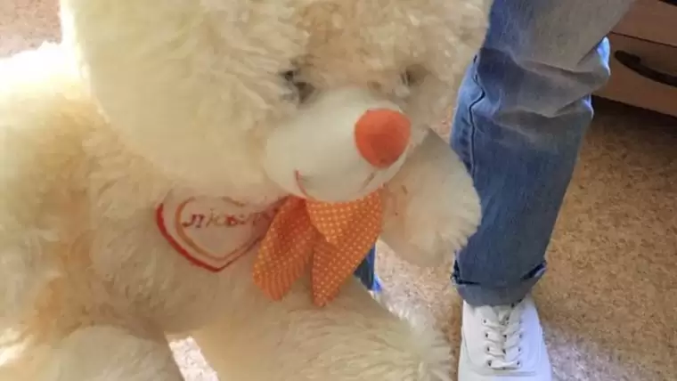 В Нижнекамске незнакомец приставал к школьнику, обещая подарить игрушку