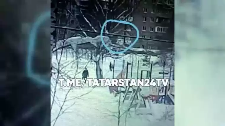 Нападение собаки на ребёнка в Казани попало на камеру видеонаблюдения