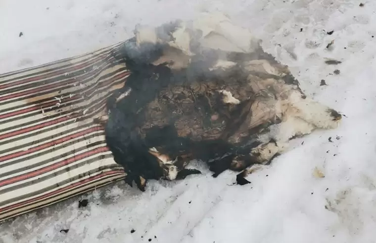 В Казани из квартиры с горящим матрасом спасли двух человек