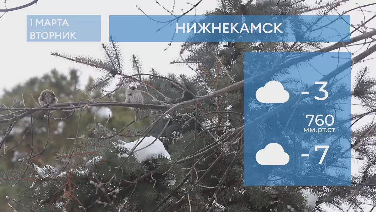 Погода в Нижнекамске на 1-е марта 2022 года