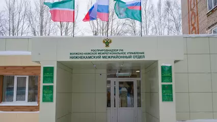 В Нижнекамск на открытие здания Росприроднадзора приедет президент Татарстана