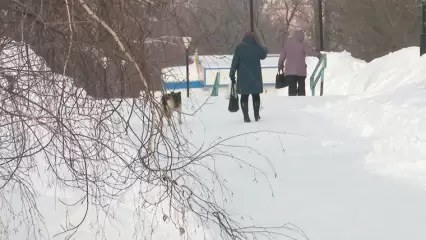 Нижнекамцы обсуждают в соцсетях девушку в розовой одежде, которая толкает прохожих - НТР 24