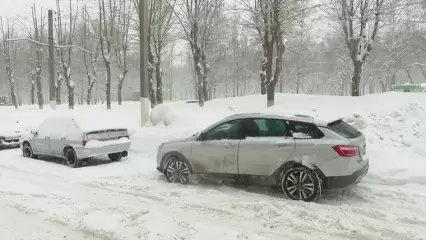 Жители Нижнекамска дали свою оценку работе коммунальщиков по уборке снега - НТР 24