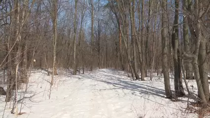 Стало известно, где нашли тело пропавшей в Нижнекамске девушки - НТР 24