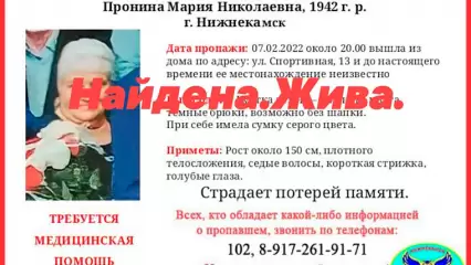 Пропавшая в Нижнекамске бабушка с потерей памяти найдена - НТР 24