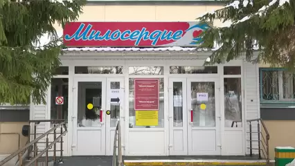 Нижнекамский реабилитационный центр отпраздновал свое 20-летие - НТР 24