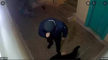 В Нижнекамске двое мужчин жестоко избили соседку и её сожителя - НТР 24