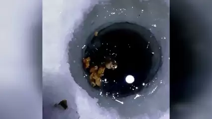 Стало известно, что выловил из реки Кама нижнекамец вместо рыбы в середине февраля - НТР 24