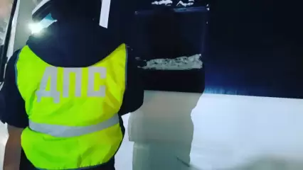 ГИБДД Нижнекамска анонсировала масштабную проверку водителей - НТР 24