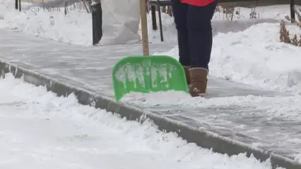 Нижнекамец предложил свой вариант по спасению городских улиц от снега - НТР 24